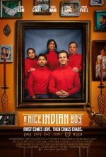 A Nice Indian Boy